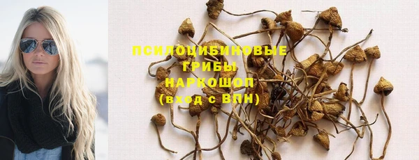 синтетический гашиш Белокуриха
