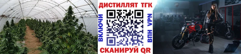 Дистиллят ТГК жижа Пионерский
